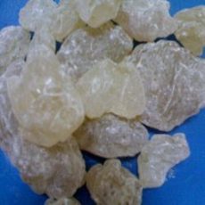 <span class='p-name'>Jual GUM DAMAR Mata Kucing</span> <span class='p-name'>Jual GUM DAMAR Mata Kucing</span>